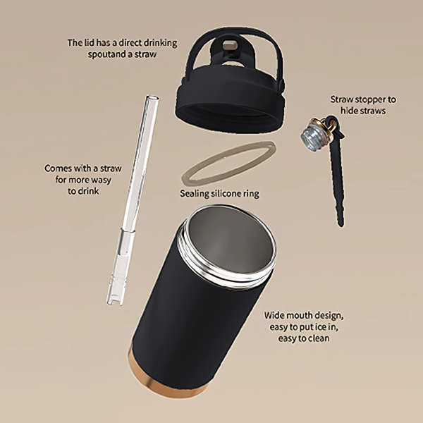 GOLD Dual Lid 316 S.Steel Bottle with Straw Handle – 500ml