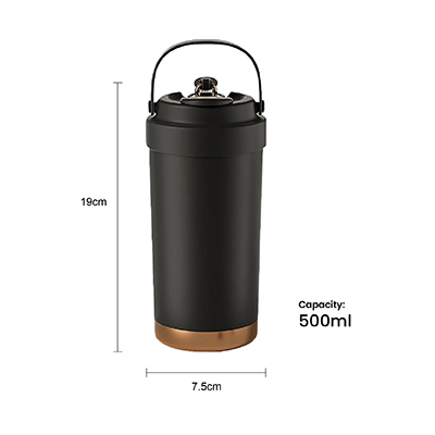 GOLD Dual Lid 316 S.Steel Bottle with Straw Handle – 500ml